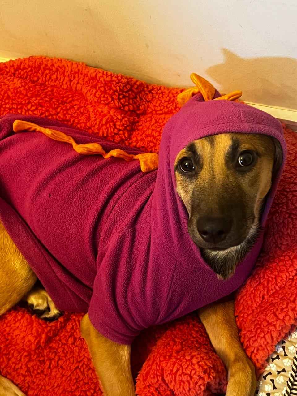 Image Title My Image