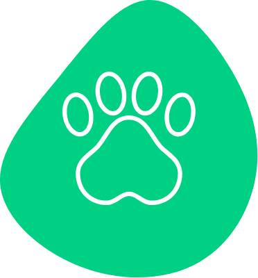 Image Title My Image